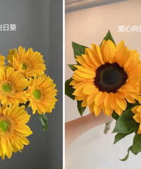 [�Ź�]�������տ����ţ�29.9����15֧��ֻ��5�컹����