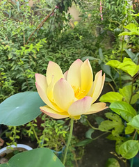 5���������͵�һ��ź�����ˣ�Ʒ�־��ǡ�¹���