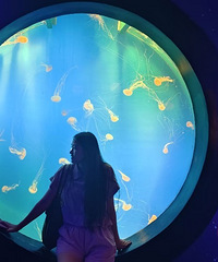 93165CMĹ飬ϣԷ95~88