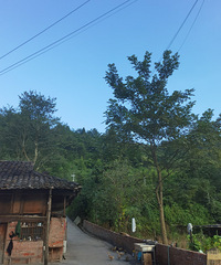 车程2个半小时的冷门露营地,包场观星开音乐派对