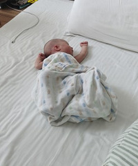 ��̥��29���ɵ�37�ܣ���������С����