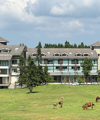 쵱ȻҪȥŮɽסľƵܲ