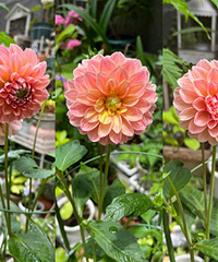 ������λ������Ĵ��������úò���