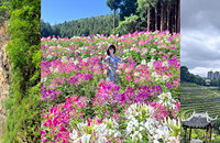 八月黔行(九洞天、阿西里西、韭菜坪、野玉海)