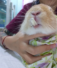 [����]����ҽԺ�ϰ��������ⲡ�ˣ����߿����������������ʸ���