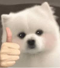 [����]������С�������ʲô�³����о��������Խ��Խ�ձ���