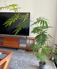 ����˿����Ҷ��������ͣ��������պ�����֧��