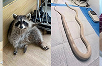 ����ҽԺ�ϰ���ˣ�ɶ�Ӳ��˶��У����������ʸ���