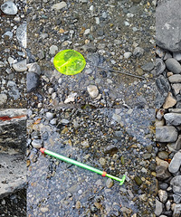 ȥ��ˮ���ӣ�ˮȷʵ�峺���ף������˶�����Ҳ��