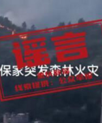 网传彭水保家突发森林火灾系谣言