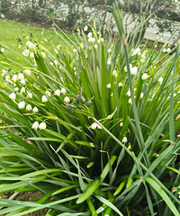 ���ǲ���ͬһ��ˮ�ɻ��أ����������˶�