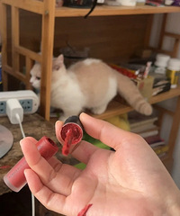 [����]����èƨ�ɺʹ���һ���ź��ģ����ſ��ˣ�˭֪��Mac