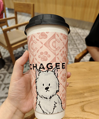 [�ȷ�]�������輧���ȳ��ܱ��Ȼ��ˣ���ô��ô�ɰ����м������