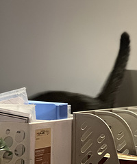 ͬ���Ǹ�͵����������͵������ץ���ֳ�ָ��