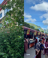 逃离43°的重庆,桐梓九坝避暑