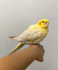 ����2���µ��������ģ�������