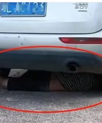���ϸ���ײ���������ѣ���ѹ3�Σ�����80����������������ԩ�޳�