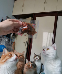 84182CM25ĸ飬ϣԷ30