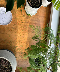 Ȱ�ˣ����ڱ�������麣�˵�����ĸ���վ����