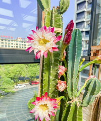 һ������Ҹ�����һ���ڰ��쿴������߿�����