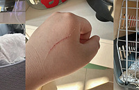 èһ�����ǣ�è������һ�ػ�ץ�ˣ����÷����ؽ���