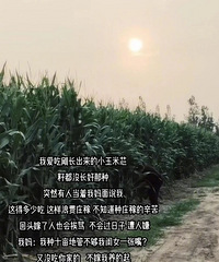�����Դ���һ�й�� ��
