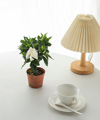 �ʺϽ�ʦ���͵�������4.8/��������19.9Ԫ