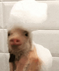 ������ֵ����ˮ������ͯ��������99��ǿ����������6Ƭ38