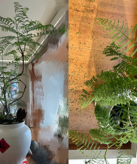 Ȱ�ˣ����ڱ�������麣��������Ǯ