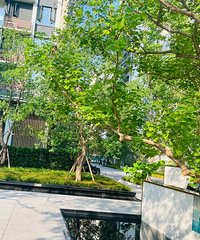 ȷʵ��ֻ��΢΢��