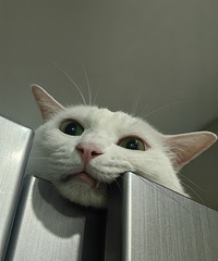 ��ɹһɹ���ǵ�0Ԫ��ѽ���Ҽ�3ֻȫ��