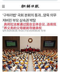 韩国通过了具荷拉法