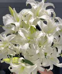 [�Ź�]����ֱ��9���ʻ�ſ����������ذ�ٺ�29.9������