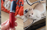 ˯�ѷ���èƨ��һ�ź죬��Ϊ�����ˣ������MAC