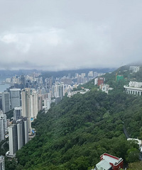 ��۸���ȷʵϲ��סɽ�ϣ����׻�̫ƽɽ��ۺ�լ��������