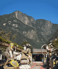 四川小伙在荒废宅基地,建起6000㎡花园