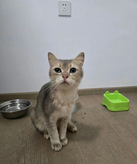 è�䶪��һ���¶���Ƥ�����ˣ���������ʵ����