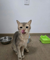 [����]è�䶪��һ���¶���Ƥ�����ˣ�������ᶾ��������ʵ��