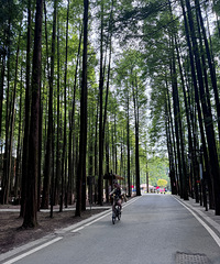 �����۵����г�������