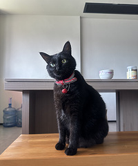 [��¼]���һ�θ�ͬ��ϴ�裬��ʰ����õȸ���������ȥ��լ����