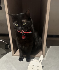 ���һ�θ�ͬ��ϴ�裬������Ҫ����ȥ��լ������