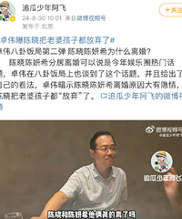 卓伟谈陈晓陈妍希离婚隐情