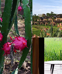 ������ҵ���Ƶ����������ժ������