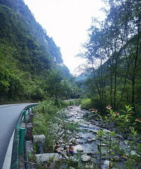 南川三泉镇耍水,周末避暑休闲