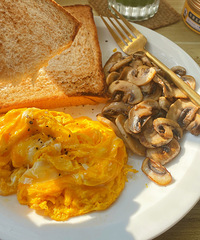 ��ĩ�Ը���ͳ��Ž�����