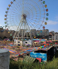 ��ˮ������������ܱ��в��г�����԰����ѵ����