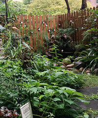 �������£����Ĵ���Ļ�԰ȫϴ���ˣ��Ѱ���