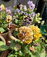 ��������ʮ����Ʒ�ֵĽ���������ȫ����