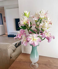 ��������Ļ�������˿���ٺ�Ҳ̫���˰ɣ����ڻ���