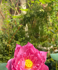 40�ȸ����£�3���������������У���������ǿ